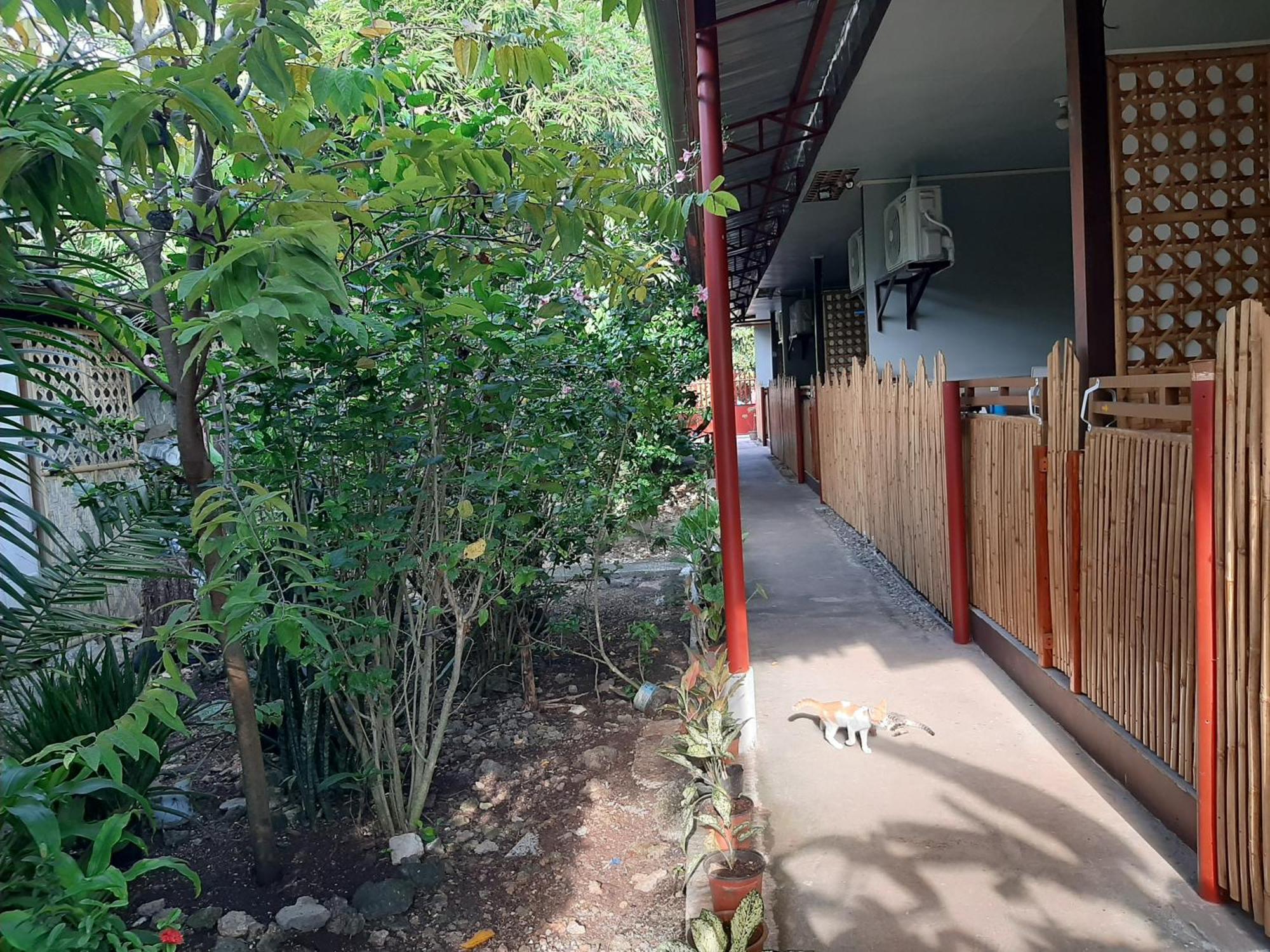 Alimpay Foresters Apartment パングラオ エクステリア 写真